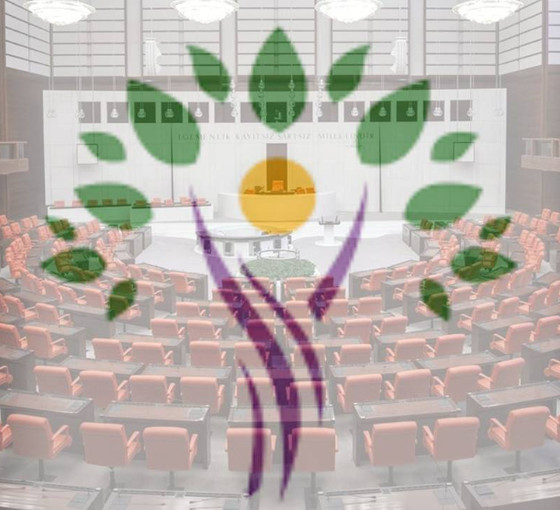 55 Yeşil Sol vekilinden Bakan Koca'ya 'e-Reçetem' sorusu: Kürtçe'nin taşımadığı kriterler mi var?