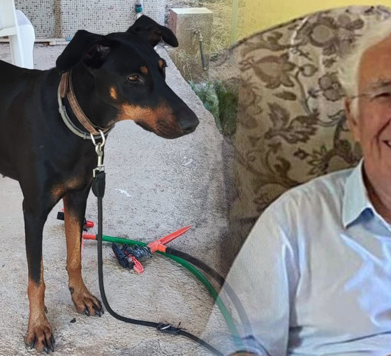 Korhan Berzeg 75 gündür kayıp: Eve dönen köpeği Tina da arama çalışmalarına katılacak