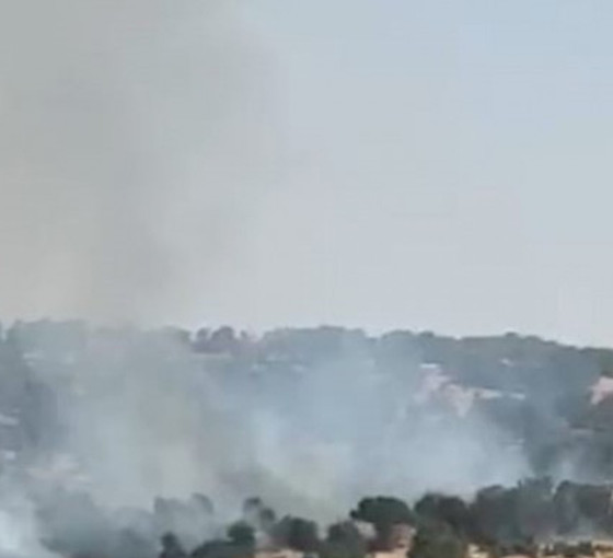 Lice'de yangın söndürüldü