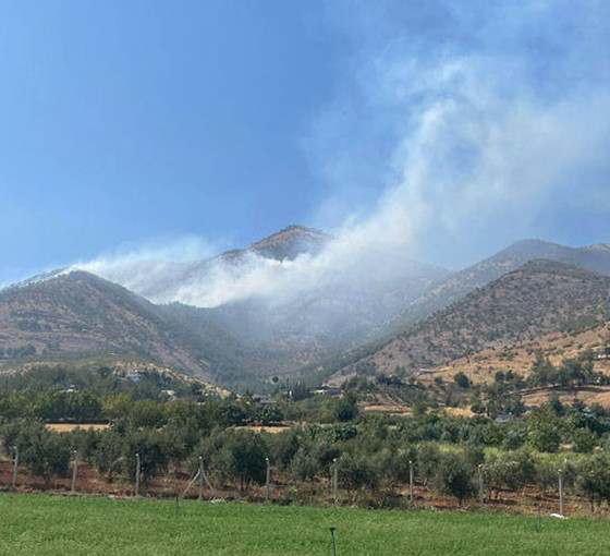 Maraş'ta orman yangını: Havadan ve karadan müdahale sürüyor
