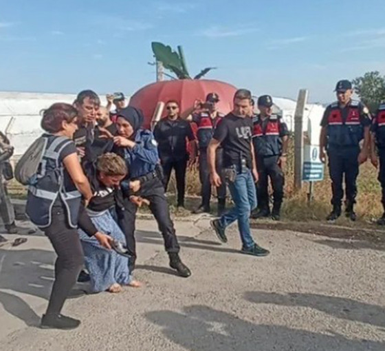 Agrobay işçileri serbest bırakıldı