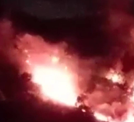 Pendik'te ormanlık alanda çıkan yangına müdahale ediyor