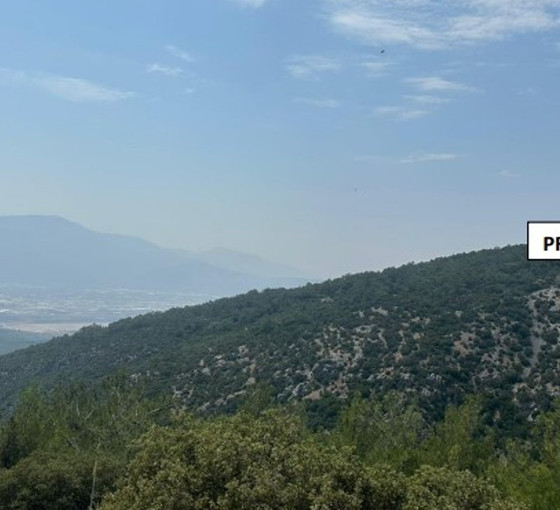 Spil Dağı'na komşu taş ocağı yolda: 'Arıların evine dinamit'