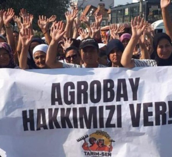 Direnen Agrobay işçisi; yalnızlık sana yakışmıyor