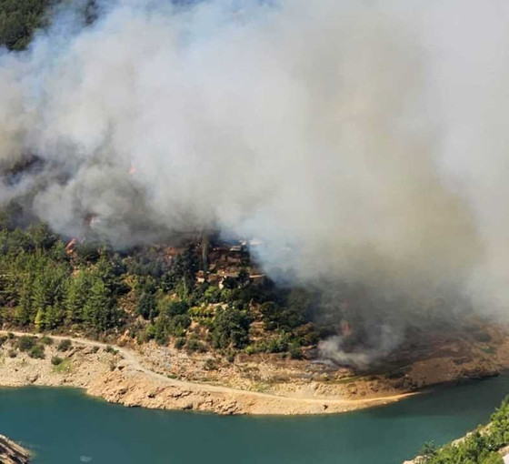 Alanya'da orman yangını: 13 ev boşaltıldı