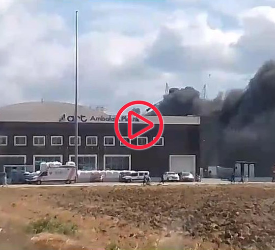 Silivri'de otluk alanda başlayan yangın fabrikaya sıçradı: İşçiler tahliye edildi