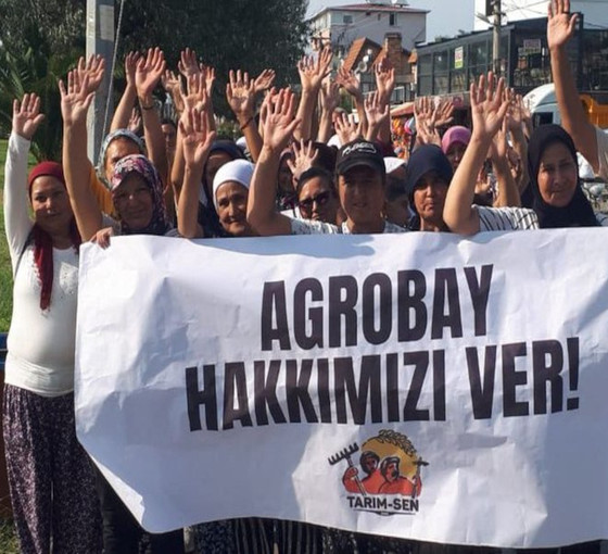 Agrobay işçileri tazminatları ve maaşları için bir aydır eylemde