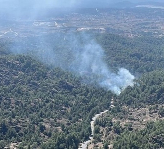Muğla ve Denizli'deki orman yangınları kontrol altına alındı