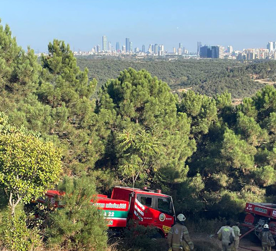 Sultangazi'de ormanlık alanda çıkan yangın kontrol altına alındı