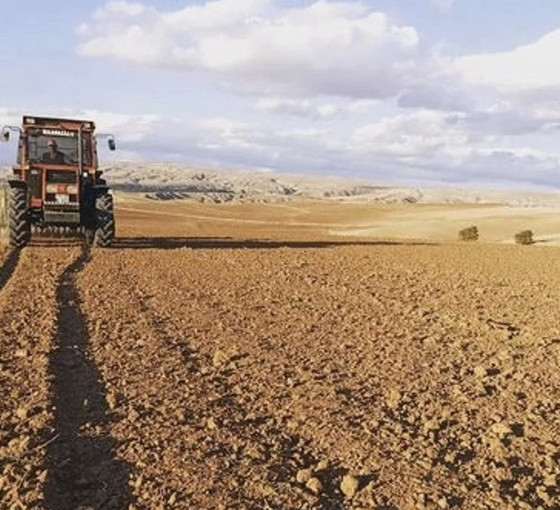 Kuraklıkla mücadele eden Edirne'de çiftçiler zorda: Yağış gelmezse buğday ekiminde sorunlar yaşanabilir