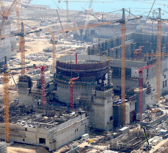 Yeşil Sol Partili Koca: Akkuyu'da 50 işçi daha zehirlendi