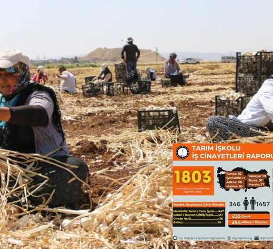 İSİG Meclisi'nden Agrobay paylaşımı: Tarımda son 10 yılda en az 1803 iş cinayeti işlendi