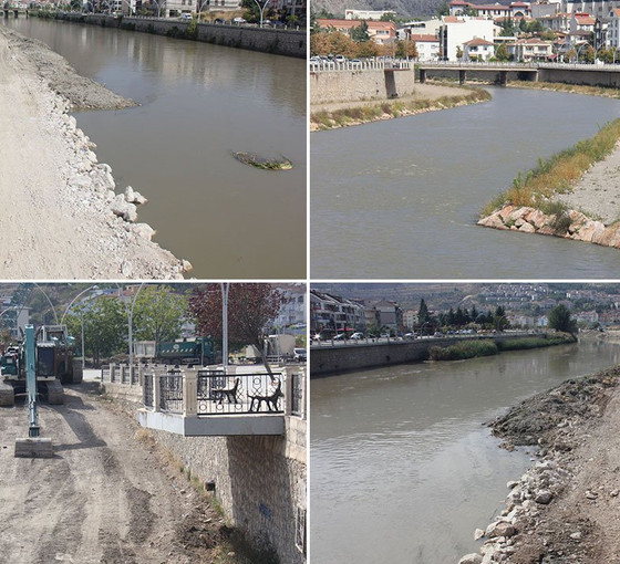 Yeşilırmak Nehri'ndeki çalışmalar ekolojik dengeyi bozuyor: 'Bazı türlerin nesli tükenebilir'