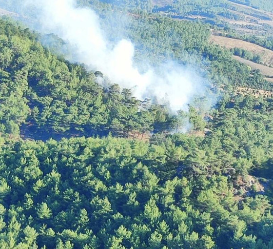 Çanakkale'de orman yangını kontrol altına alındı