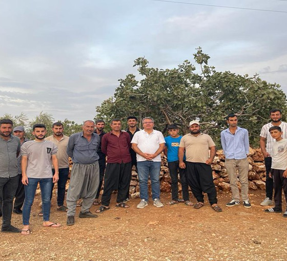 Antep'te fıstık üreticileri taban fiyat istiyor: 'Emeğimiz üç beş tüccarın cebine giriyor'