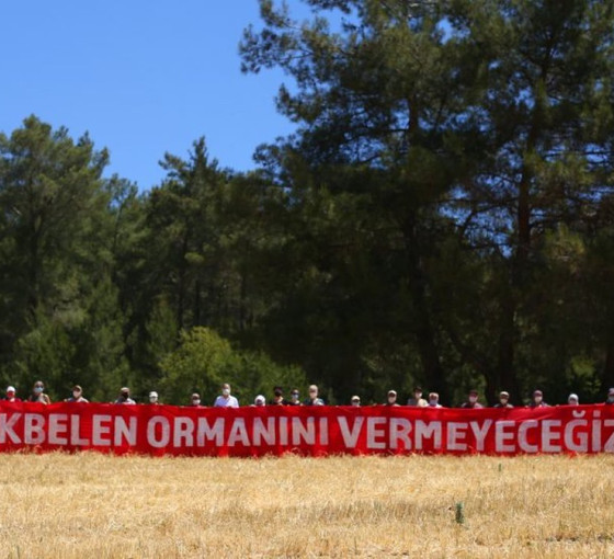 İkizköylüler, Akbelen Ormanı davası için mahkemeye yürüyecek: 'Hadi yürüyün, siz de geliverin gari!'