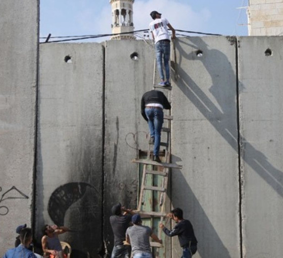 Hamas mı, İsrail mi; duvar mı, yumurta mı?