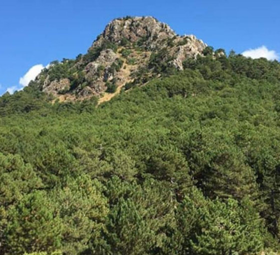 Murat Dağı’nda altın madeni projesi ikinci kez reddedildi