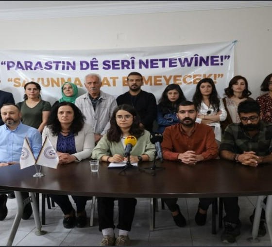 ÖHD'den Diyarbakır'daki hak ihlalleri raporu: 7 ayda 667 kişiye kötü muamele