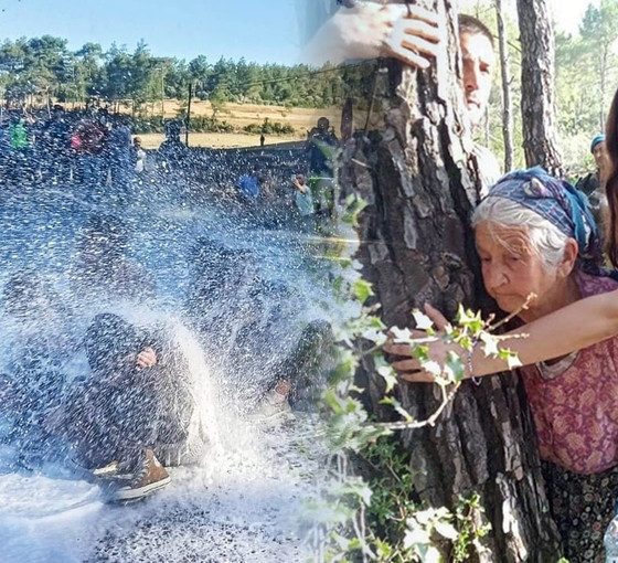 Akbelen'deki jandarma saldırısı yargıya taşınıyor: Gıda Mühendisleri Odası, suç duyurusunda bulunacak