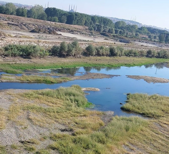 Edirne'de nehirler de kuruyor
