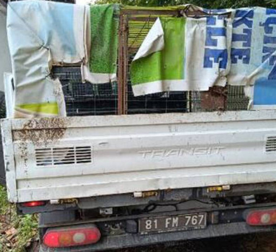 AKP'li belediyenin personeli ölü köpekleri köye bırakırken yakalandı