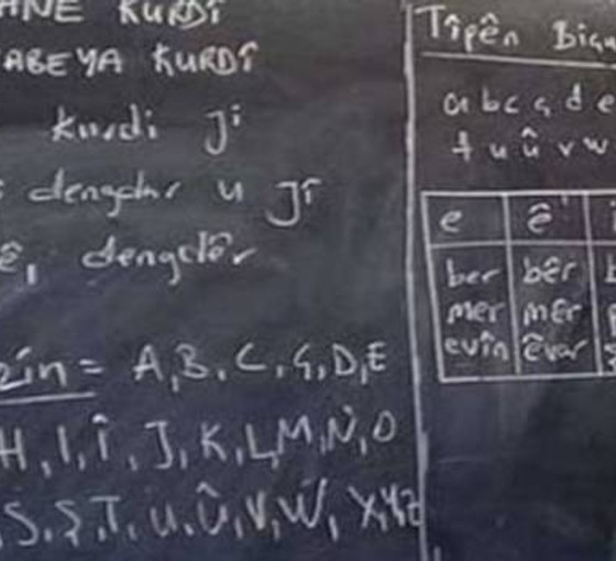 'Kürtçe kurslar yeterli olmaz, anadilinde eğitimin önündeki engeller kalkmalı'