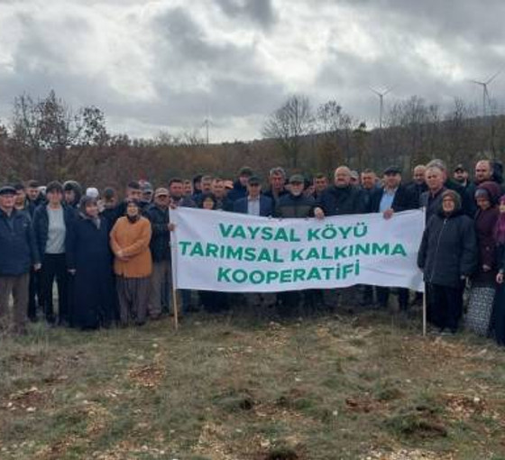 Edirne Valiliği, Vaysal köyünde kalker ocağına yargıya rağmen onay verdi