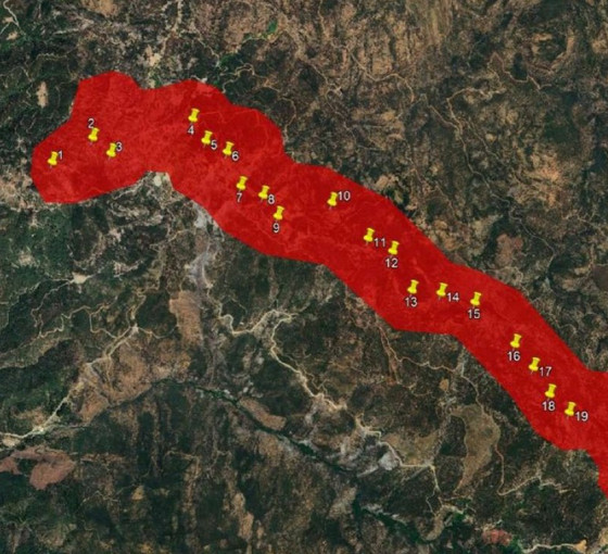 Alman şirketten Ege’nin dağlarına RES hançeri: 17 bin ağaç tehlikede