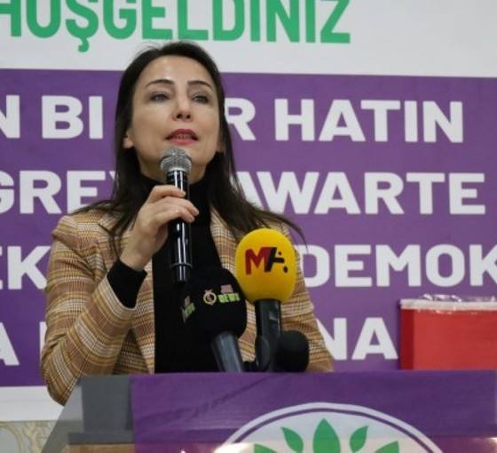 Hatimoğulları Bitlis'te konuştu: Kayyım atanmış tüm belediyelerimizi tek tek geri alacağız
