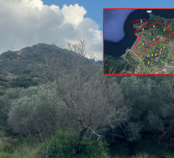 Muğla’da doğal sit alanına Rüzgar Enerji Santrali: Bakanlık ÇED süreci başlattı