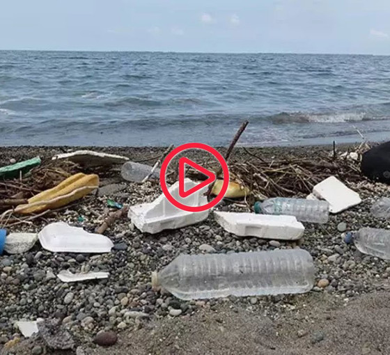 Karadeniz’de iklim krizi: Kirlilik yükünde artış var, daha da artacak