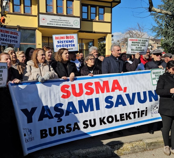 Bursa'da üç yılda 4 milyon metrekare alan orman vasfından çıkarıldı... Su Kolektifi: Ormanlardan elinizi çekin