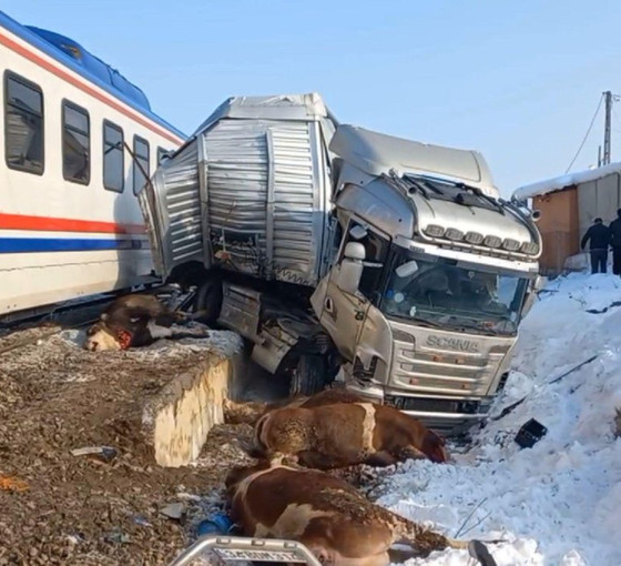 Muş'ta yolcu treni ile hayvan taşıyan tır çarpıştı: İki kişi ve çok sayıda hayvan öldü