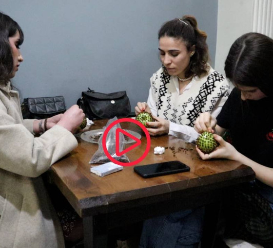 Aşkın ve barışın simgesi: Van'da Sêva Mêxekrêj etkinliği