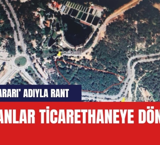 Bir ihale daha: Antalya'daki ormanlar ticarethaneye döndü