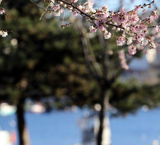 Bugün hava nasıl olacak? (25 Şubat pazar günü hava durumu)