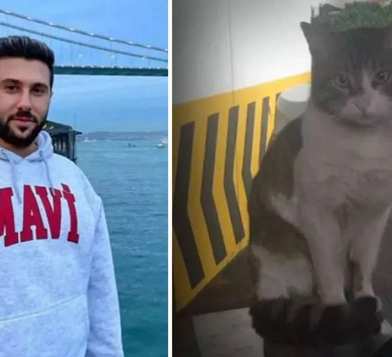 Kedi Eros'a işkence davası yarın görülecek: 'İbrahimKeloğlantutuklansın' etiketi gündem oldu