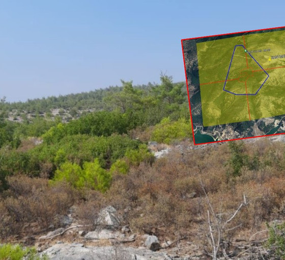 Milas'ta içme suyu havzasına mermer ocağı projesi: 'Akgedik Barajı risk altında'