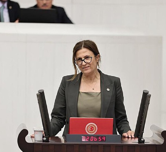 Türkan Elçi, Hakan Fidan'a sordu: 'AİHS'nin 12'nci protokolü 23 yıldır neden onaylanmadı?'