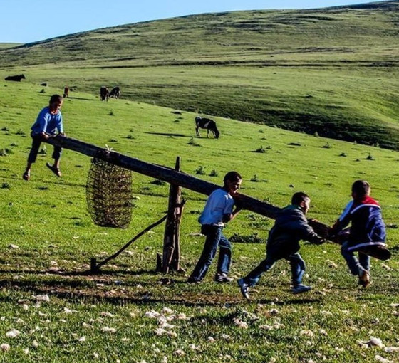 Boğalı Yaylası şimdilik kurtuldu: Maden arama çalışmaları durduruldu