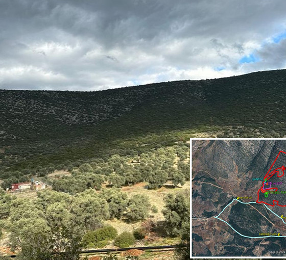 Bodrumspor başkanından zeytinliklere GES girişimi: ÇED süreci başlatıldı
