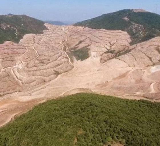 Kaz Dağları’nda binlerce ağaç daha tehlike altında: Maden şirketi 10 kat büyümenin peşinde