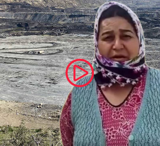 İkizköylüler, Akbelen Ormanı'ndaki yeni kamulaştırma kararına tepkili: Cumhurbaşkanı sarayında ne yiyecek?