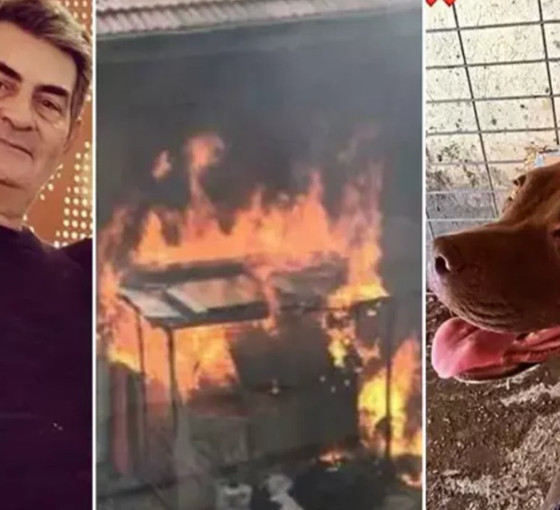 'İyi hal indirimi' verilmişti: Şila'yı kulübesinde yakarak öldüren Ömer Faruk Baki'nin cezası, istinafta 4 yıla çıktı
