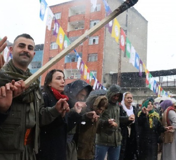 Doğubayazıt'ta Newroz ateşi yakıldı... Hatimoğulları: Barış ve diyalog çağrımız seçimlere indirgenmeyecek kadar önemlidir