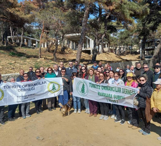 Saros Körfezi'nde çam ormanına beton: 'Kamusal alanda kıyım ve talan'
