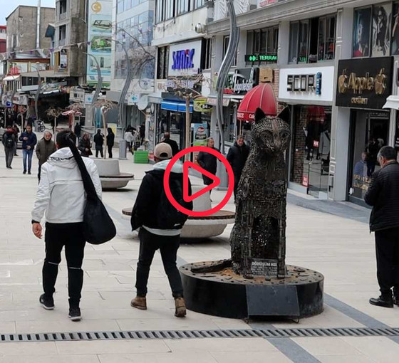 Van’da seçim nabzı: DEM Parti'nin hedefi 14'te 14 yapmak