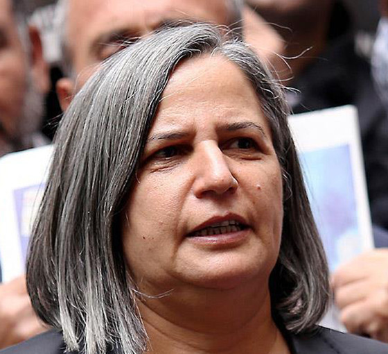 Kışanak, Dersimlilere seslendi: Gün bir olmanın, mücadelede ortaklaşmanın günüdür