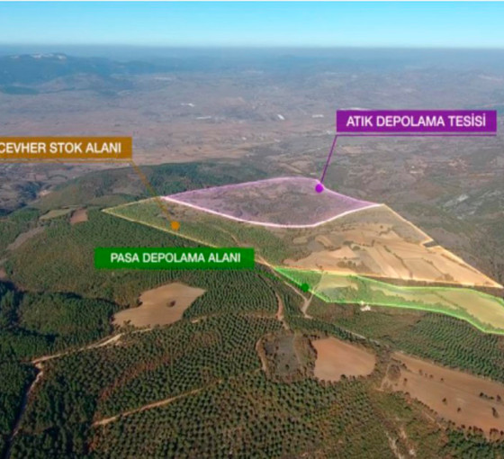 Balıkesir'de altın madenine karşı dava süreci devam ederken yüzlerce ağaç kesildi